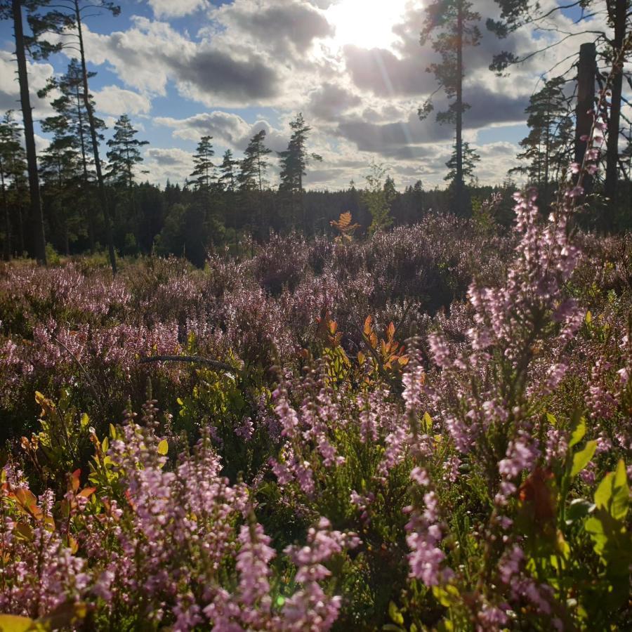 Cabin near lake&beautiful nature reserve. Bodafors Extérieur photo