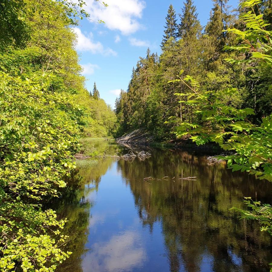 Cabin near lake&beautiful nature reserve. Bodafors Extérieur photo