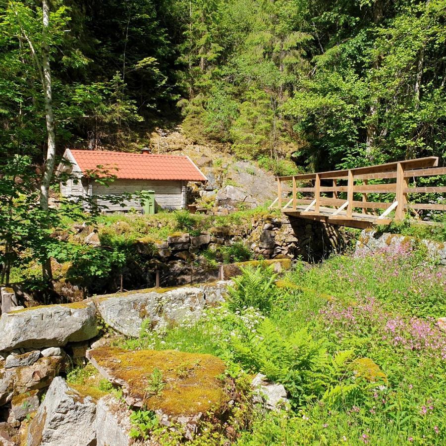 Cabin near lake&beautiful nature reserve. Bodafors Extérieur photo