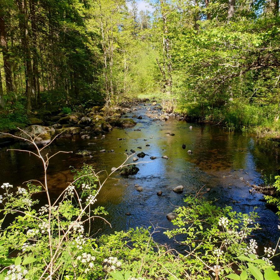 Cabin near lake&beautiful nature reserve. Bodafors Extérieur photo