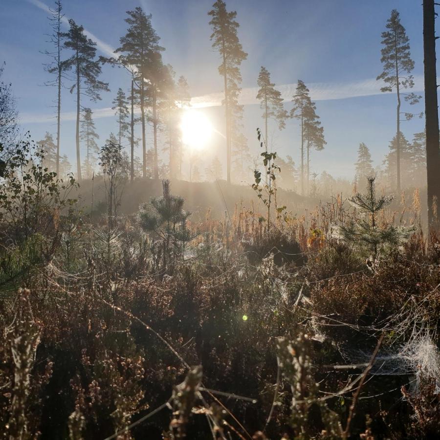 Cabin near lake&beautiful nature reserve. Bodafors Extérieur photo