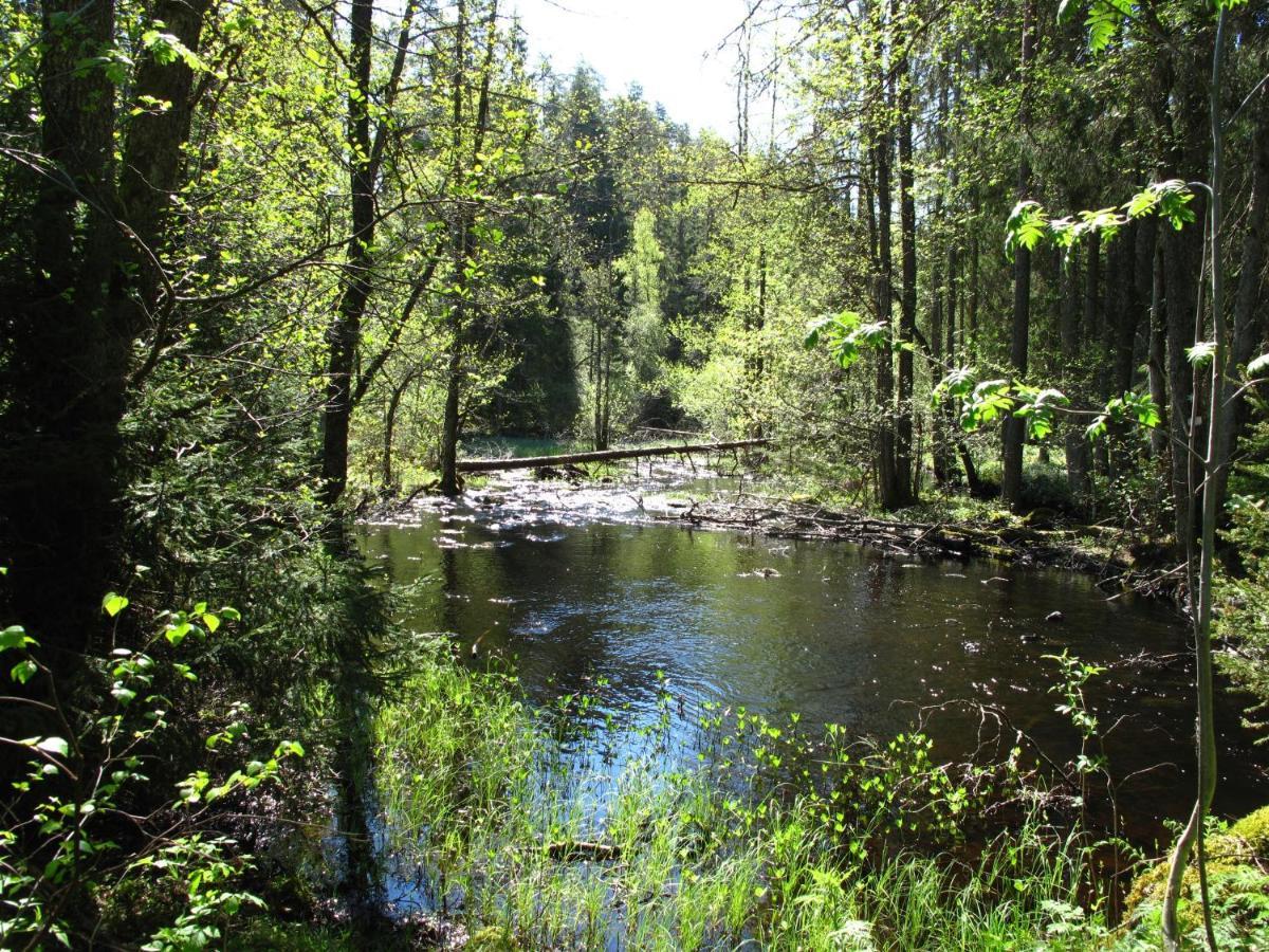 Cabin near lake&beautiful nature reserve. Bodafors Extérieur photo