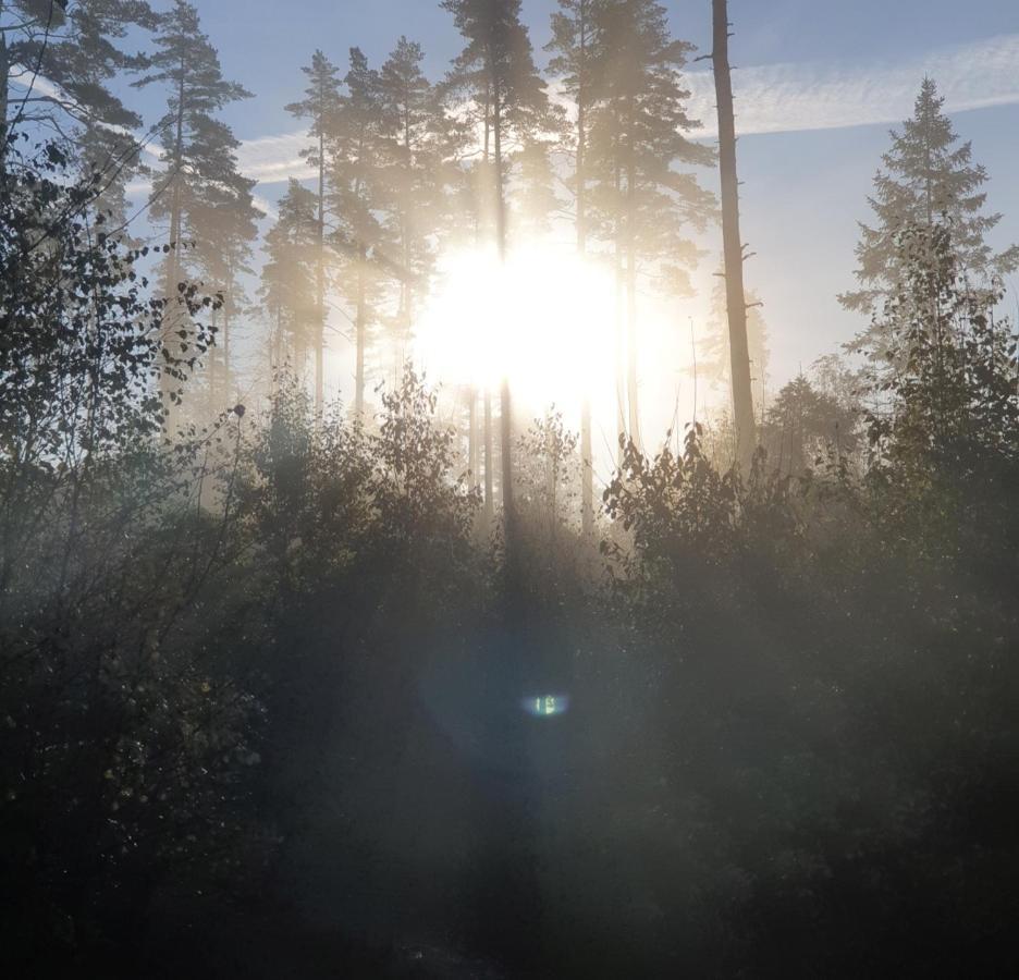 Cabin near lake&beautiful nature reserve. Bodafors Extérieur photo