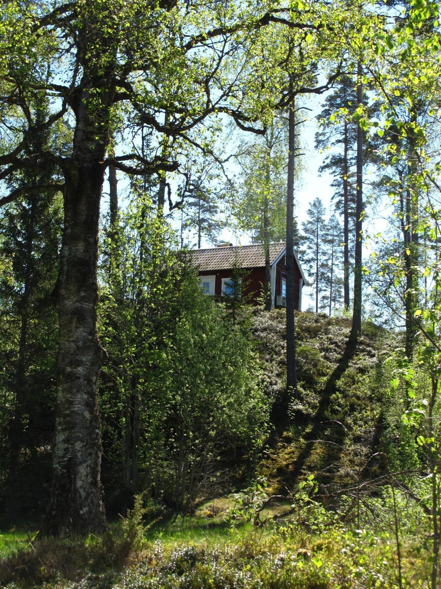 Cabin near lake&beautiful nature reserve. Bodafors Extérieur photo