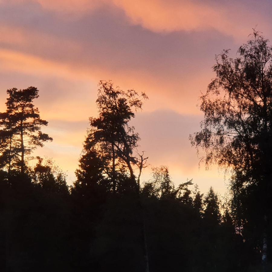 Cabin near lake&beautiful nature reserve. Bodafors Extérieur photo