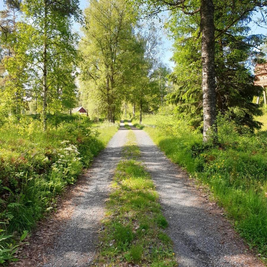 Cabin near lake&beautiful nature reserve. Bodafors Extérieur photo