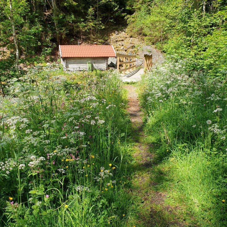 Cabin near lake&beautiful nature reserve. Bodafors Extérieur photo